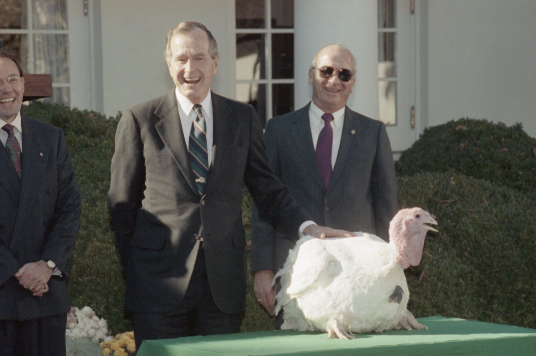 Bush turkey pardon, 1990